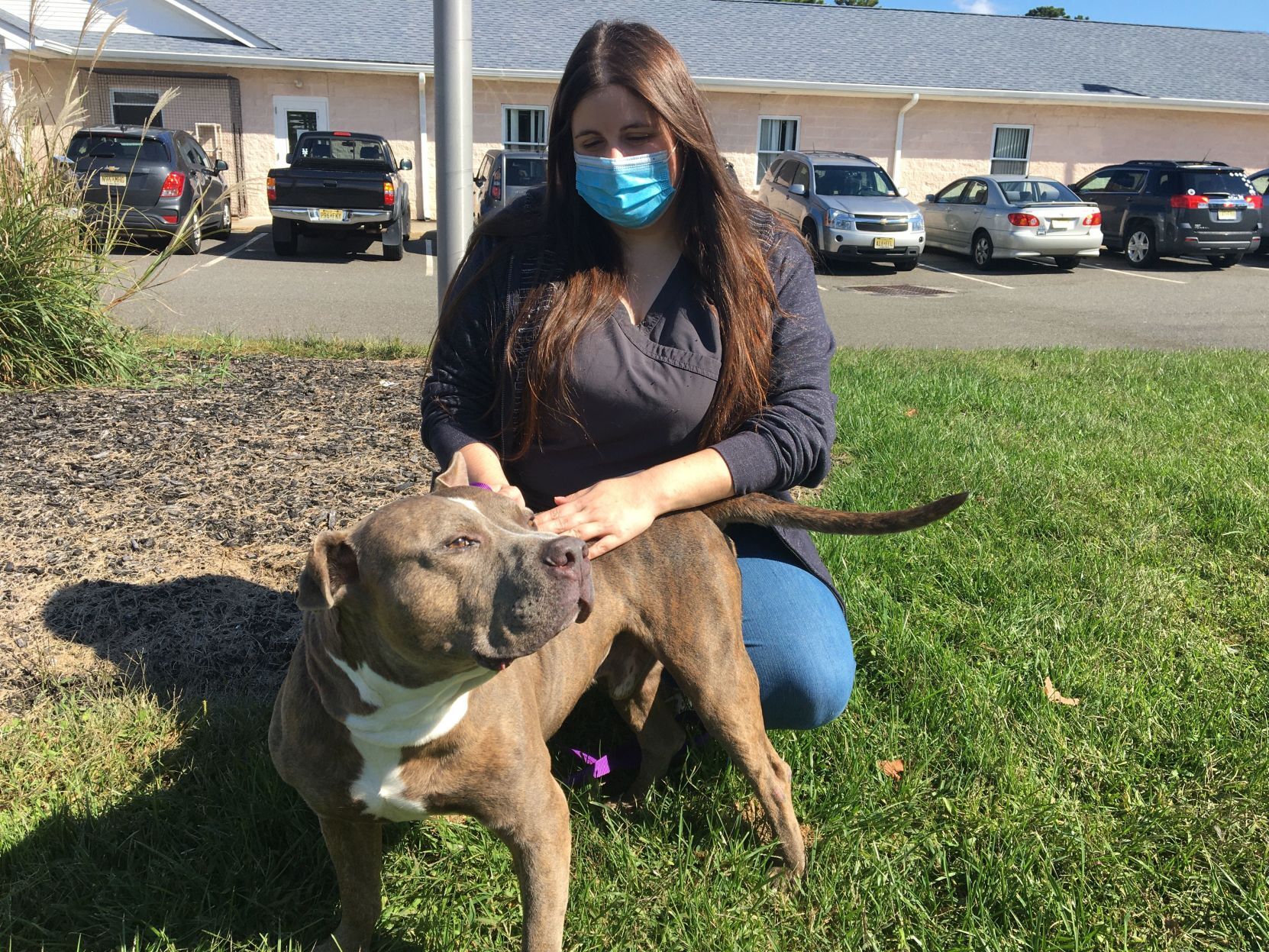 shelter dogs (18).jpeg